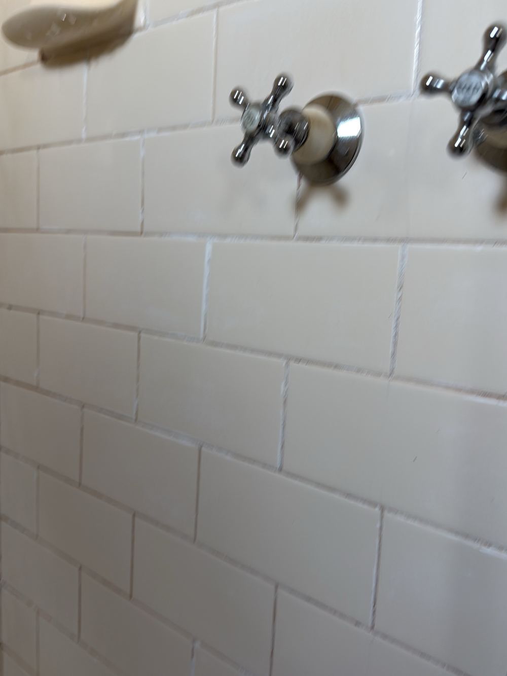 Degraded shower grout letting water work in behind the tiles, found during a pre-purchase inspection in Newport